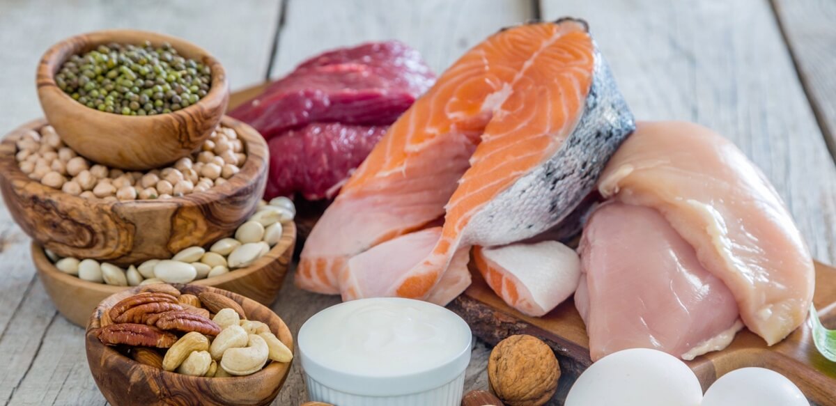 dieta de proteinas